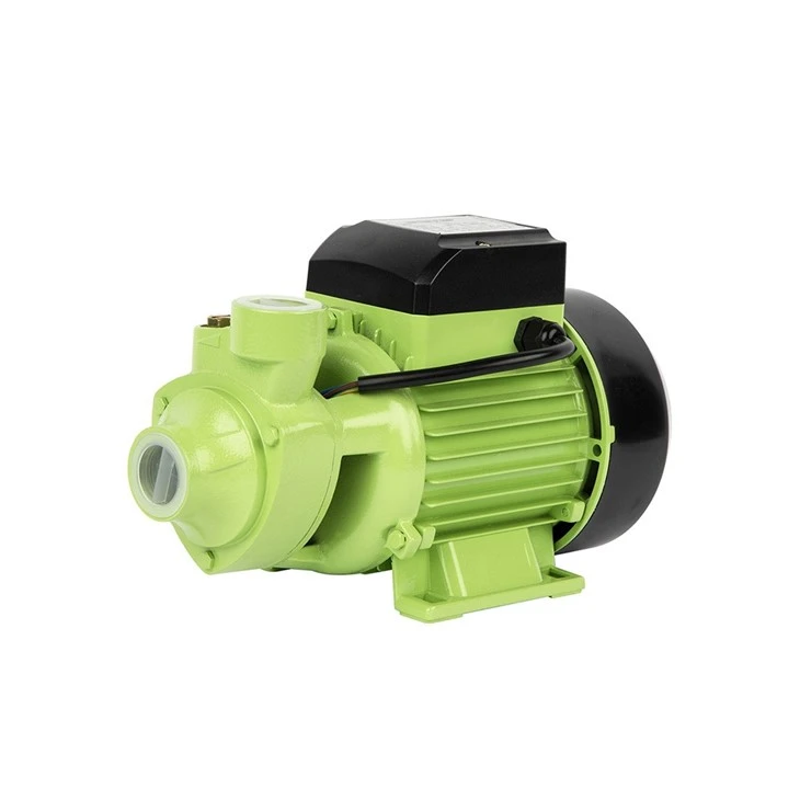 QB80 1HP Peripheral Pump 196.9ft Head 13.2 GPM 1