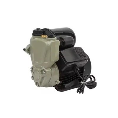 Mala vrtna navodnjavanje WZB128A 1,5 m³/h samousisna-pumpa
